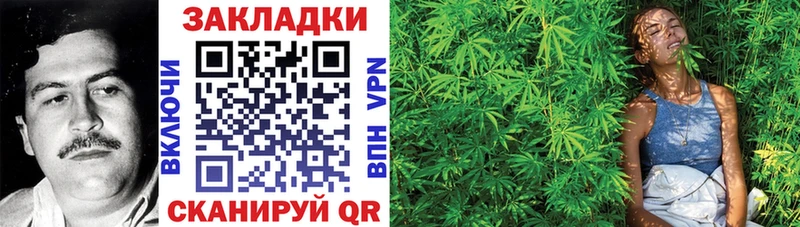 Где купить Дмитров А ПВП Меф мяу мяу ГАШИШ Марихуана