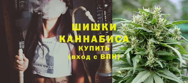 PSILOCYBIN Алзамай