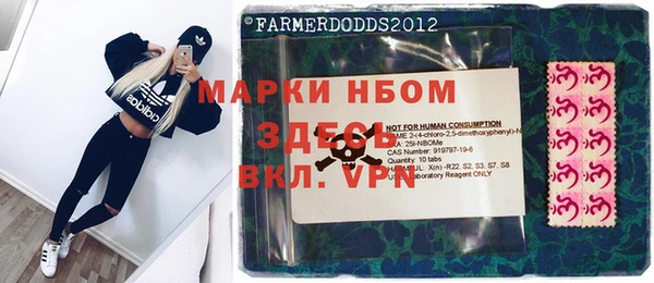PSILOCYBIN Алзамай