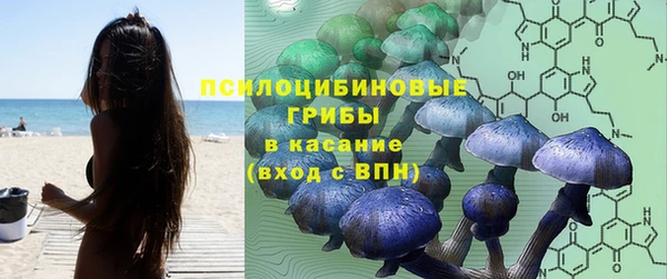 PSILOCYBIN Алзамай