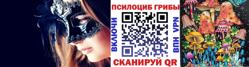 купить наркоту  Дмитров  Псилоцибиновые грибы Magic Shrooms 